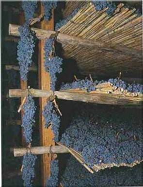 amarone drying